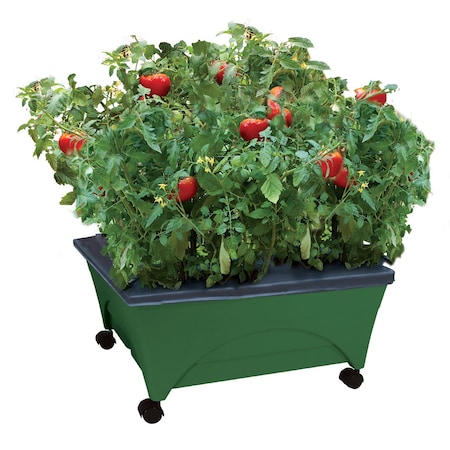 Emsco Group Raised Bed Grow Box, Self Watering and Improved Aeration, Mobile Unit with Casters, Hunter Green 2341-1HD